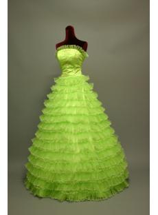 2011 Cute Puffy Green Quinceanera Dresses img_6739