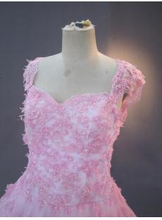 Cap Sleeves Pink 2013 Quinceanera Dresses with Train IMG_3297