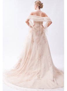 2013 Champagne Nectarean Bridal Gown with Shawl IMG_0914