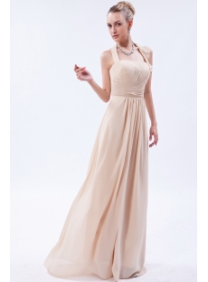 Champagne Charming Long Chiffon Modest Bridesmaid Dress IMG_9607