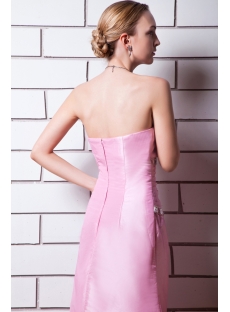 Charming Pink Evening Dresses Petite Long img_0581