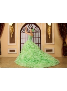 Ball-Gown One-Shoulder Floor-Length Organza Quinceanera Dress H-141