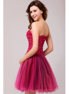Fuchsia and Black Gorgeous Junior Prom Dresses Short 2013