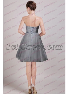 Silver Strapless Short Prom Gown 2016