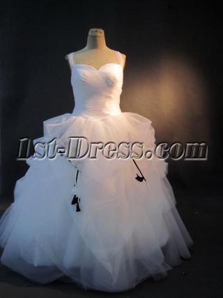 Plus Size Quinceanera Dresses with Black Color IMG_2855