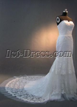 Stheath Lace Simple Bridal Gowns IMG_2542