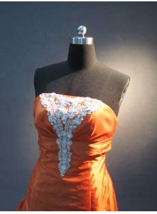 Orange Plus Size Quince Dress IMG_2302