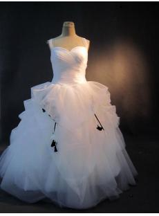Plus Size Quinceanera Dresses with Black Color IMG_2855
