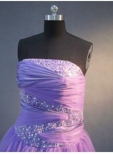 Purple Plus Size Ball Gown IMG_2230