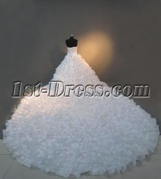 2013 Luxury Cathedral Train Ball Gown Wedding Dress IMG_3779