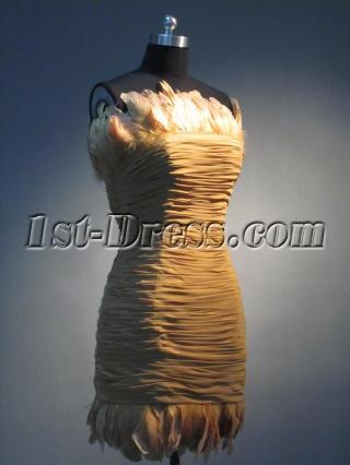 Cheap Feather Mini Dress IMG_3480