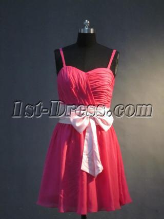 Junior Bridesmaid Dresses with Sash for Less IMG_3363