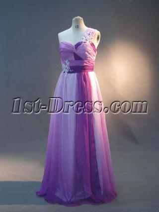 Lilac and Purple Plus Size Prom Dresses One Shoulder IMG_2995