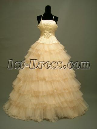 Pretty Champagne Cinderella Quinceanera Dresses DSCN2752