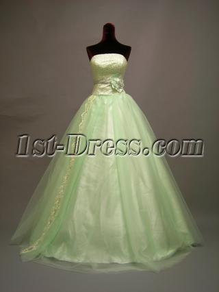 Sage Ball Gown Quinceanera Dress 2011 DSCN2728