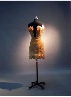 Cheap Feather Mini Dress IMG_3480