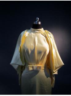 High Collar Lemon Long Sleeves Special 2013 Evening Dress with Keyhole IMG_3668 
