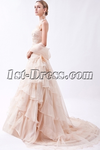 2013 Champagne Nectarean Bridal Gown with Shawl IMG_0914