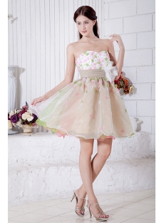Brilliant Colorful Short Quiinceanera Dress IMG_7204