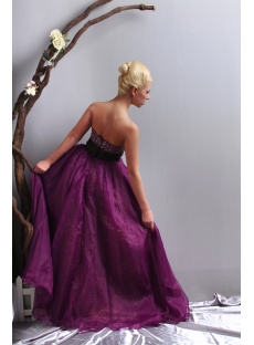 Dark Purple and Leopard Quinceanera Dress with Black Waistband SOV113008