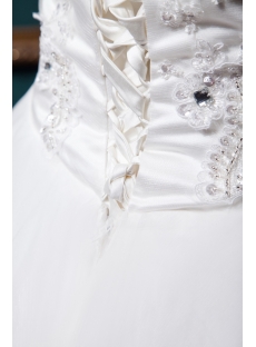 Nectarean Ball Gown Wedding Dress 2012 IMG_0320