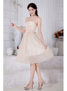 Tea Length Champagne Short Junior Bridesmaid Dresses IMG_7447