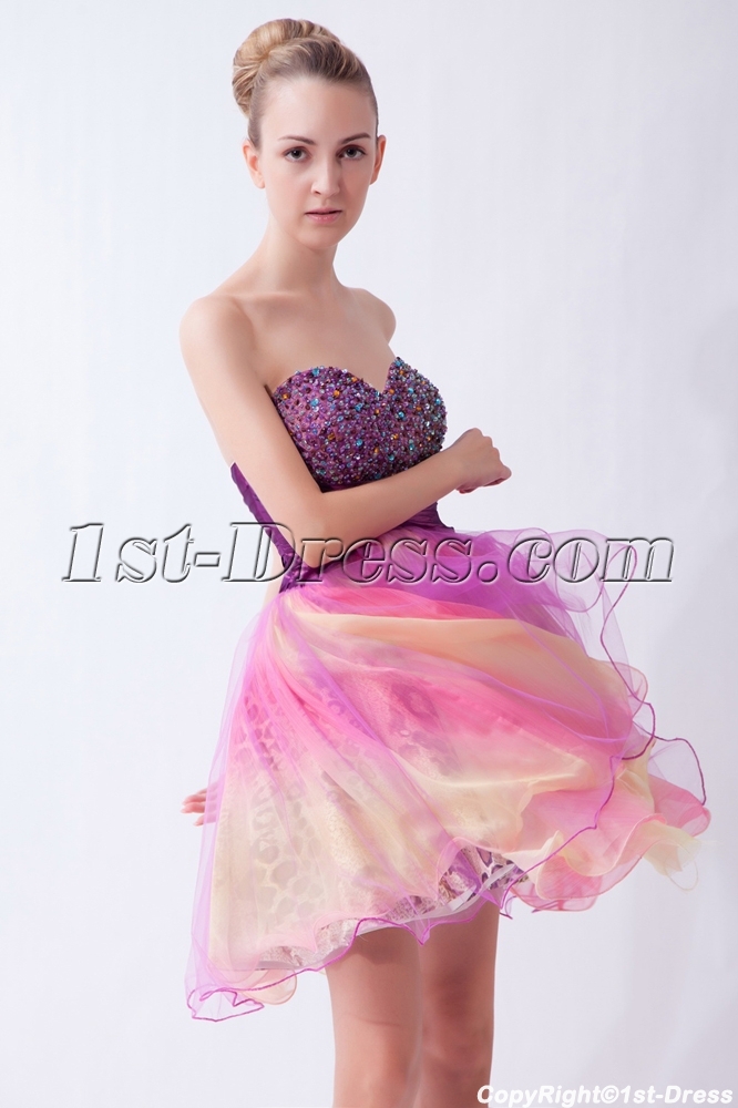 images/201303/big/Colorful-Sweet-16-Short-Poofy-Dresses-IMG_9527-586-b-1-1362471426.jpg