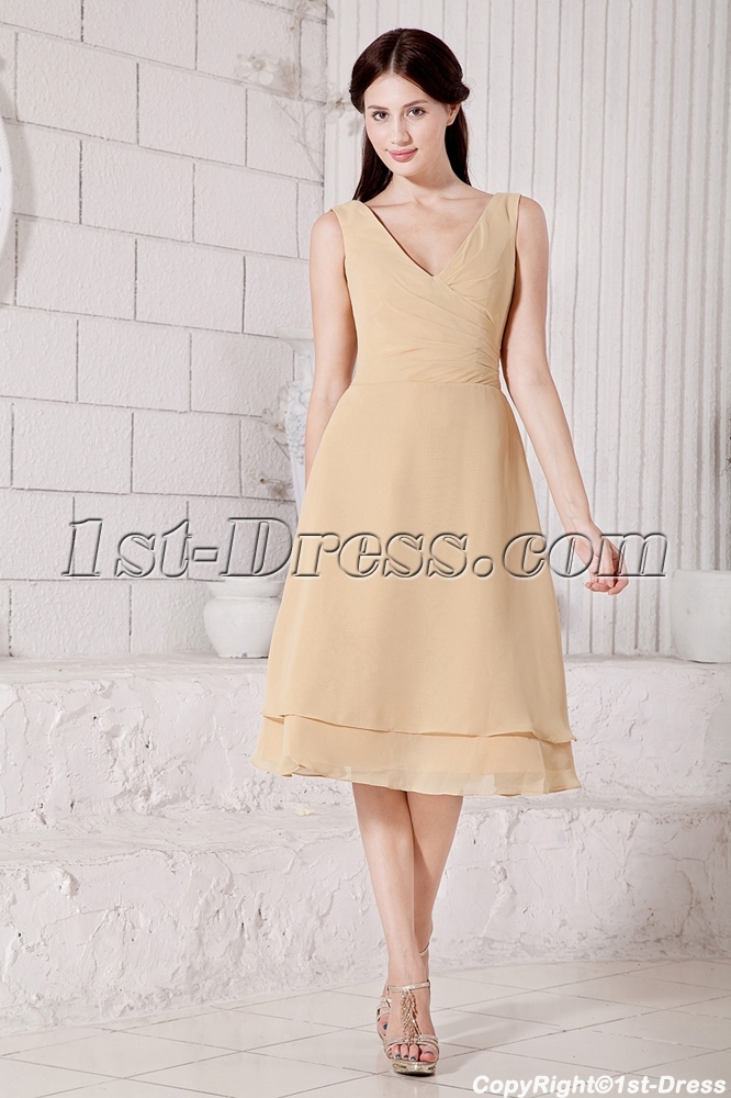 images/201303/big/Gold-Chiffon-Modest-Bridesmaid-Dresses-with-V-Neckline-Discount-IMG_7480-784-b-1-1363864746.jpg