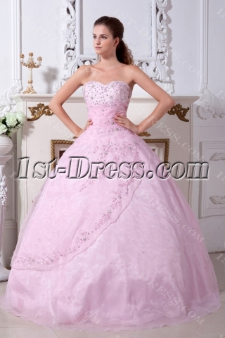long Pink Popular 2011 Quinceanera Dresses IMG_2210