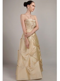 Champagne Long Plus Size Ball Gown Prom Dresses IMG_3008