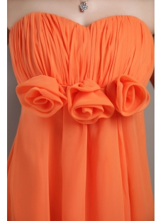 Orange Pregnant Plus Size Empire Prom Dress IMG_3404