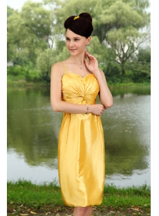 Traditional Gold Plus Size Bridesmaid Dress with Knee Length IMG_0805