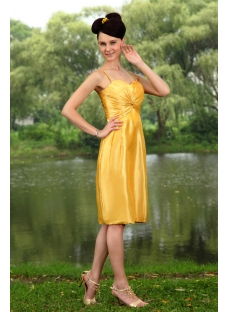 Traditional Gold Plus Size Bridesmaid Dress with Knee Length IMG_0805