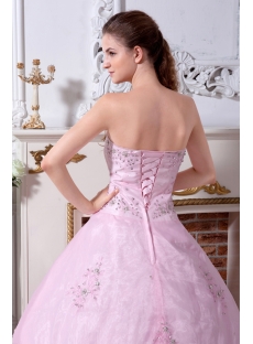 long Pink Popular 2011 Quinceanera Dresses IMG_2210