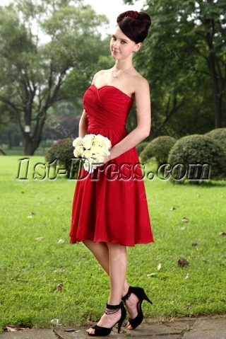 Elegant Burgundy Bridesmaid Dresses for Plus Size Girl IMG_1056