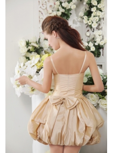Champagne Spaghetti Straps Short 15 Quinceanera Gown 2013 IMG_0224
