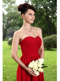Elegant Burgundy Bridesmaid Dresses for Plus Size Girl IMG_1056