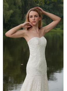 Elegant Simple Lace Bridal Gown with Drop Waist IMG_7981
