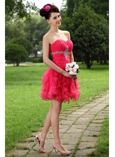 Fuchsia Beautiful Short Quinceanera Dresses 2012 IMG_0990