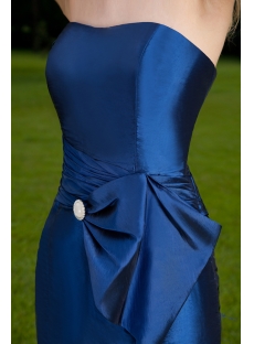 Long Pretty Royal Sheath Celebrity Gown IMG_8458