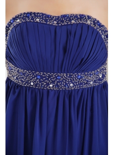 Open Back Chiffon Royal Maternity Sexy Prom Dress IMG_9846