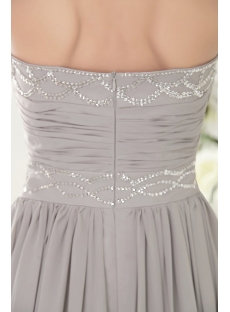 Silver Chiffon Evening Dresses for Plus Size Women Australia IMG_9614