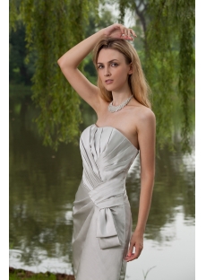 Strapless Short Silver Cocktail Dress IMG_7853