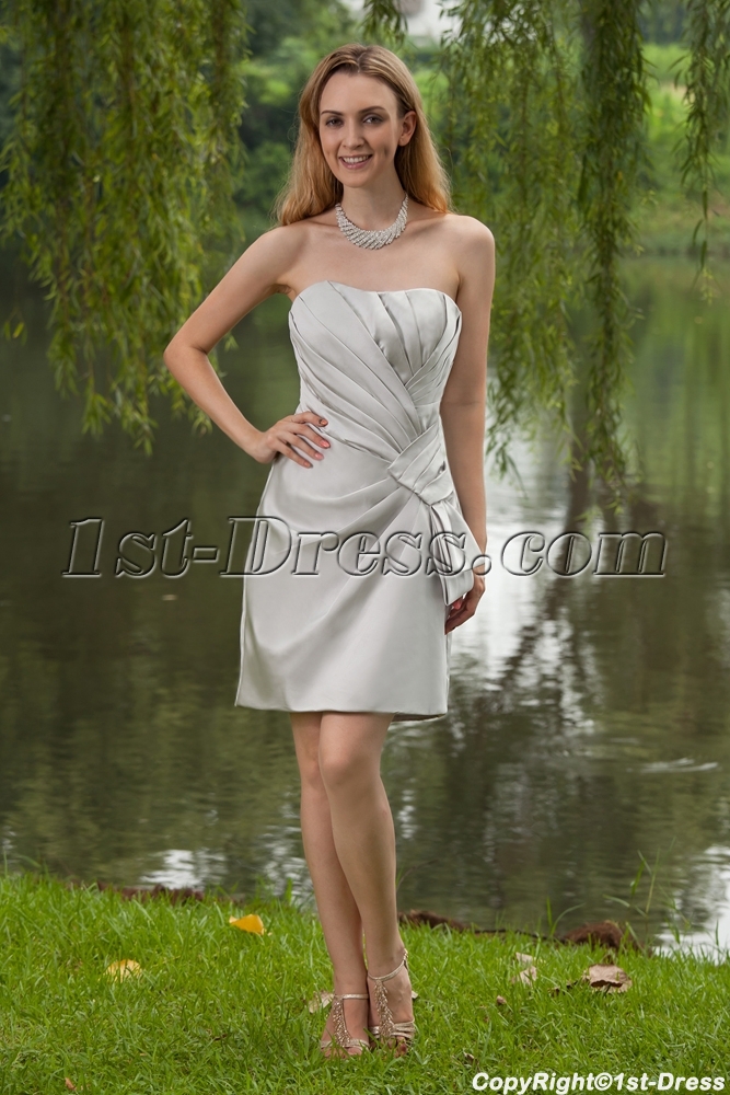 images/201305/big/Strapless-Short-Silver-Cocktail-Dress-IMG_7853-1137-b-1-1367509672.jpg