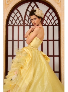 Ball-Gown Sweetheart Floor-Length Organza Quinceanera Dress With Embroidered Ruffle Beading  H-136