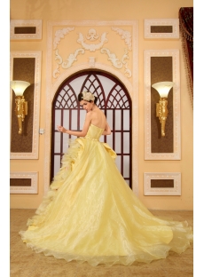 Ball-Gown Sweetheart Floor-Length Organza Quinceanera Dress With Embroidered Ruffle Beading  H-136
