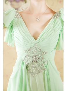 Chiffon Vintage Sage Plus Size Evening Gown