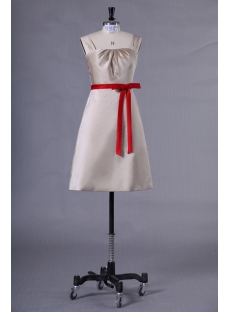 Champagne Short Homecoming Dress with Red Sash
