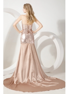 Champagne Simple Elegant Celebrity Dress