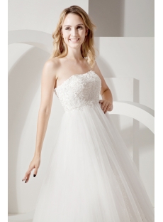 Empire Grecian Bridal Gowns for Plus Size
